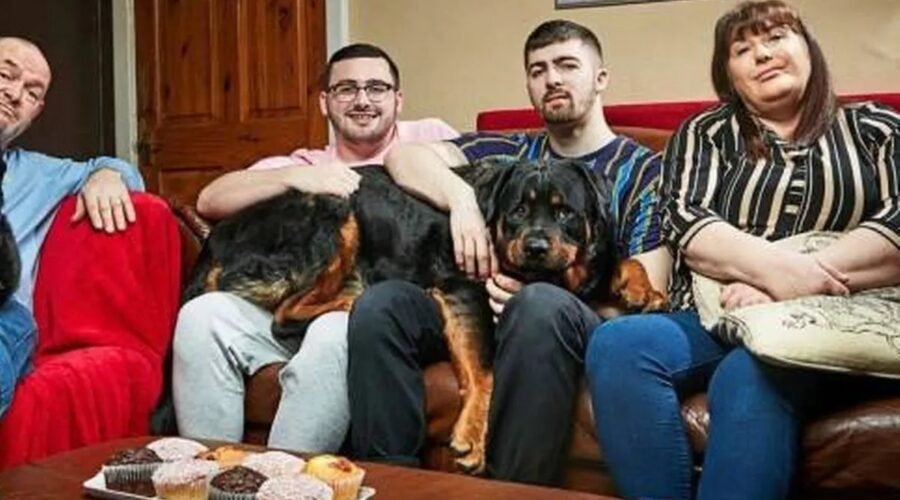 Gogglebox family dog bobby